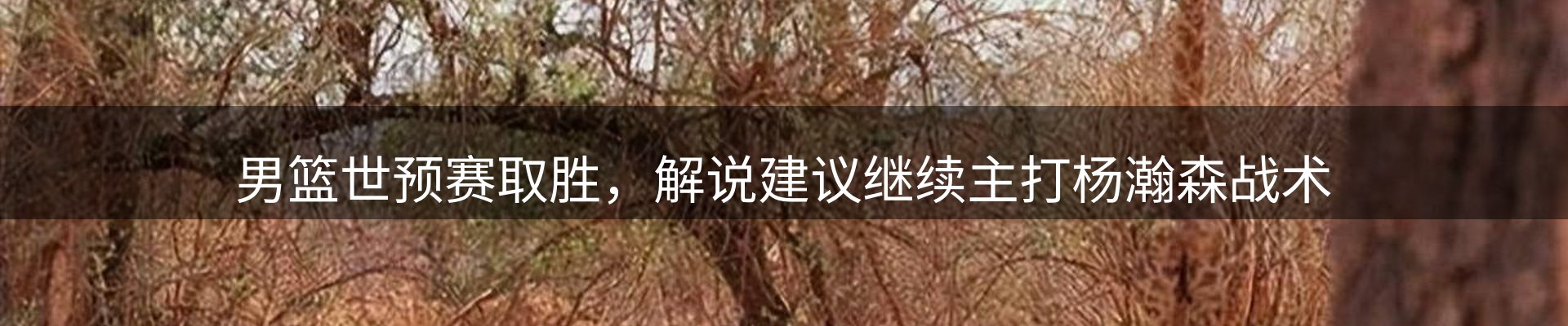 内页banner